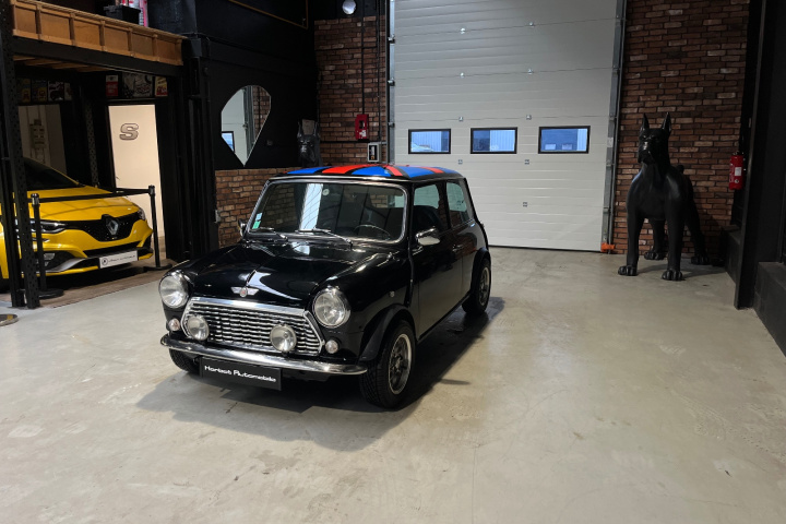 ROVER MINI